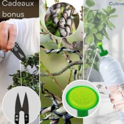 Lot de 10 pots bonsaï