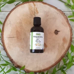 Macérât huileux de pâquerette (bellis) bio 50 ml