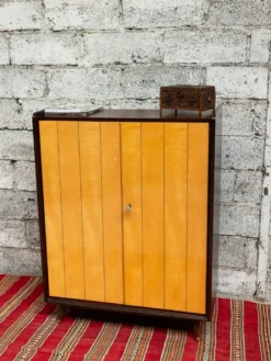 Magda, l'armoire bicolore n°719