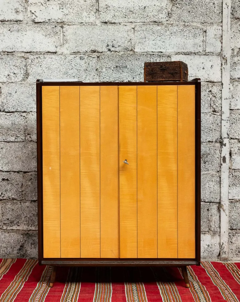Magda, l'armoire bicolore n°719