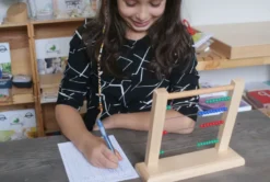 Mamontessoribox boulier