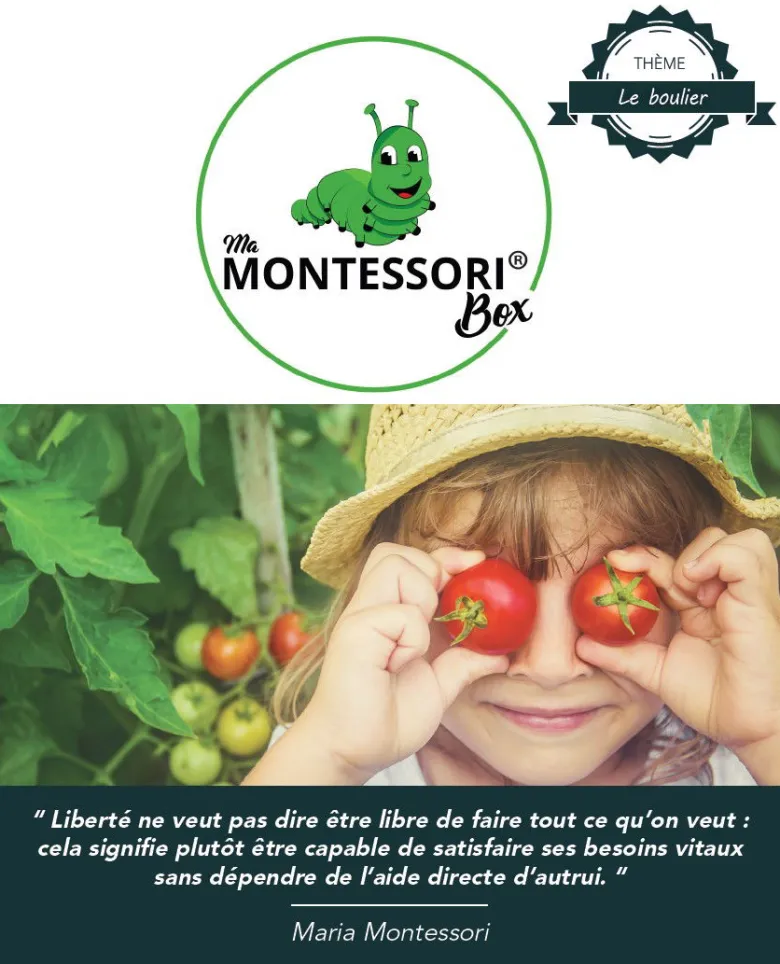 Mamontessoribox boulier