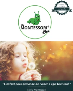 Mamontessoribox perles à compter
