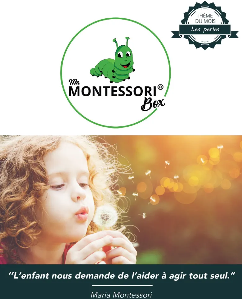 Mamontessoribox perles à compter