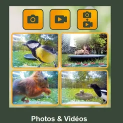 Mangeoire à oiseaux birdycam