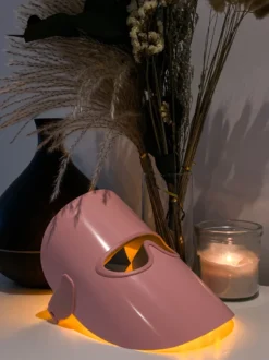 Masque éclat led renouvellement