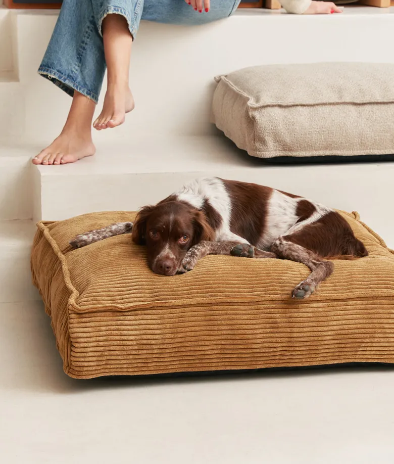 Matelas en velours côtelé xl - moutarde
