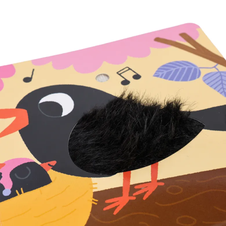 Mes comptines câlin livre sonore et tactile