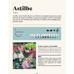 Mes fiches du jardin