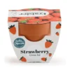 Mini kit 6 cm - fraise