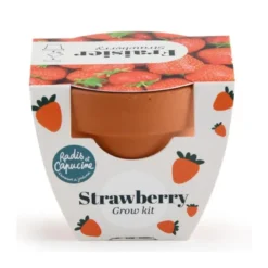 Mini kit 6 cm - fraise