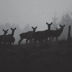 Monoculaire à vision nocturne X5