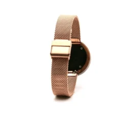 Montre bois acier or doré
