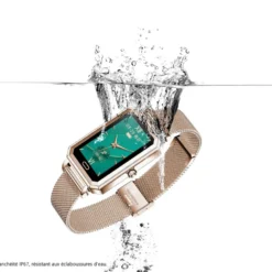 Montre connectee multifonctions