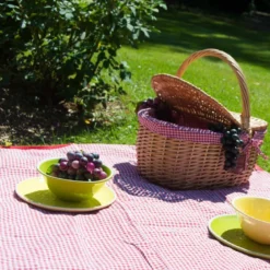 Nappe pique-nique vichy rouge (280x 140)