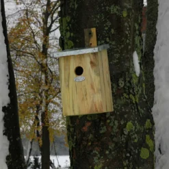 Nichoir d'observation à miroir