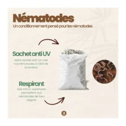 Nématodes sf - 50 pots - mouches des terreaux - 10 millions