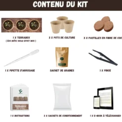 Nopalia® kit plantes carnivores – dionée attrape-mouche – kit complet