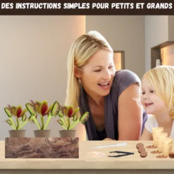 Nopalia® kit plantes carnivores – dionée attrape-mouche – kit complet