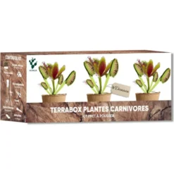 Nopalia® kit plantes carnivores – dionée attrape-mouche – kit complet