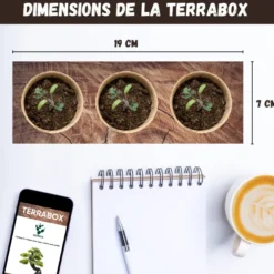 Nopalia® kit plantes carnivores – dionée attrape-mouche – kit complet