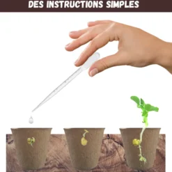Nopalia® kit potager prêt à pousser – graines bio (tomate, courgette, aubergine)