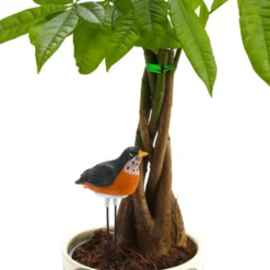 Oiseau détecteur d'arrosage