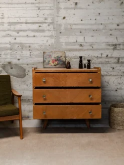 Olga, la commode en bois n°458