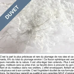 Oreiller en duvet d'oie souple - 40 x 60