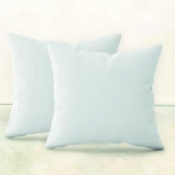2 oreillers garnissage - 50 x 50 cm