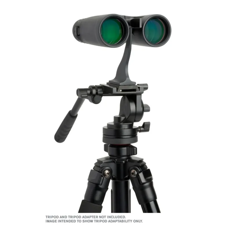 Outland x 10 x 42