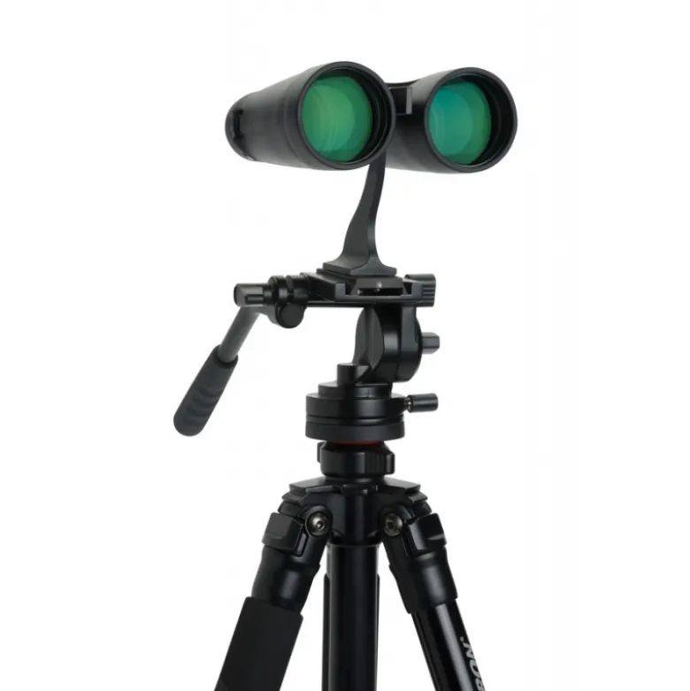 Outland x 10 x 50