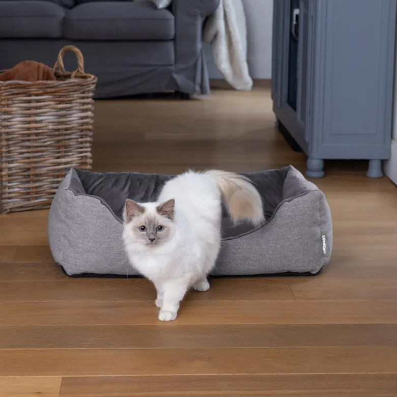 Panier chauffant pour animaux - détection de présence et chauffe automatique