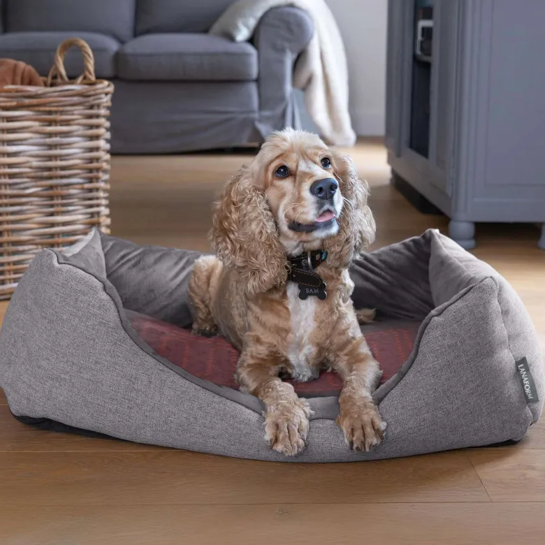 Panier chauffant pour animaux - détection de présence et chauffe automatique