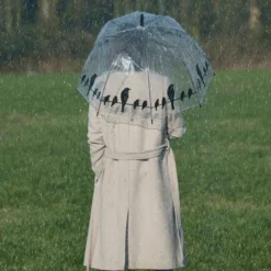 Parapluie transparent oiseaux