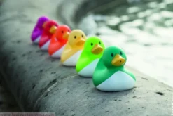 Pêche à la ligne canard pour le bain
