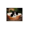 Peluche géant border collie 60 cm