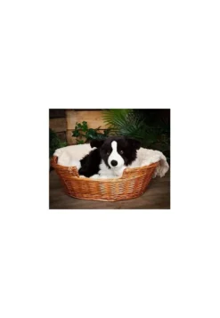 Peluche géant border collie 60 cm