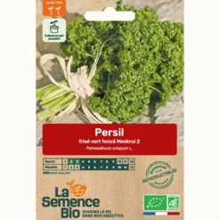 Persil frisé vert foncé bio