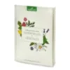 Petit guide des huiles essentielles