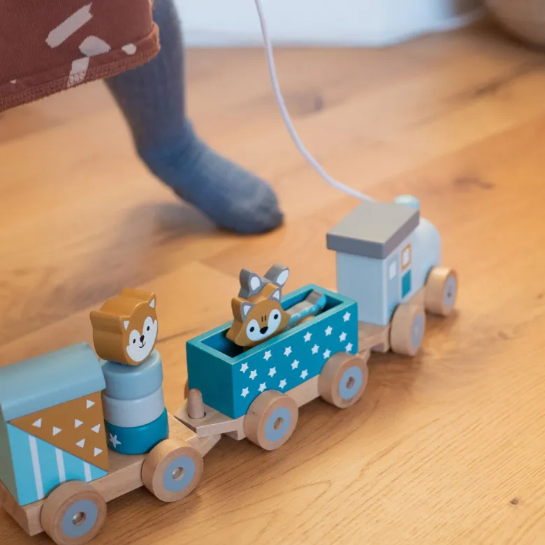 Petit train étoilé animaux du zoo Pétrole