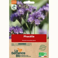 Phacelie bio