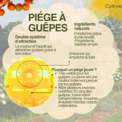 2 piège guêpes frelons extérieur réutilisable jaune