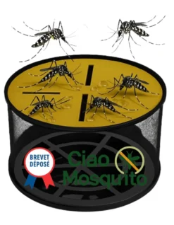 Piège moustiques et larves naturel