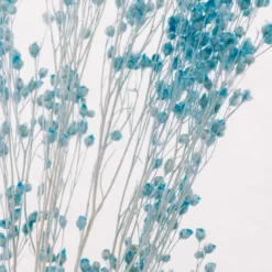 Plante immergée broom bleu turquoise h17