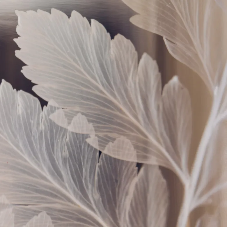 Plante immergée fougère cuir blanche h17