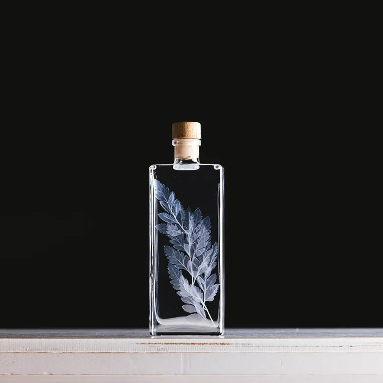 Plante immergée fougère cuir blanche h17