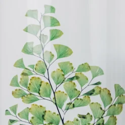 Plante immergée fougère luthi verte h21