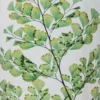Plante immergée fougère luthi verte h10
