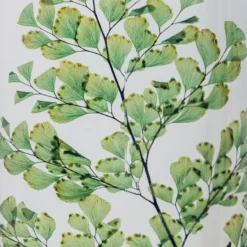 Plante immergée fougère luthi verte h10